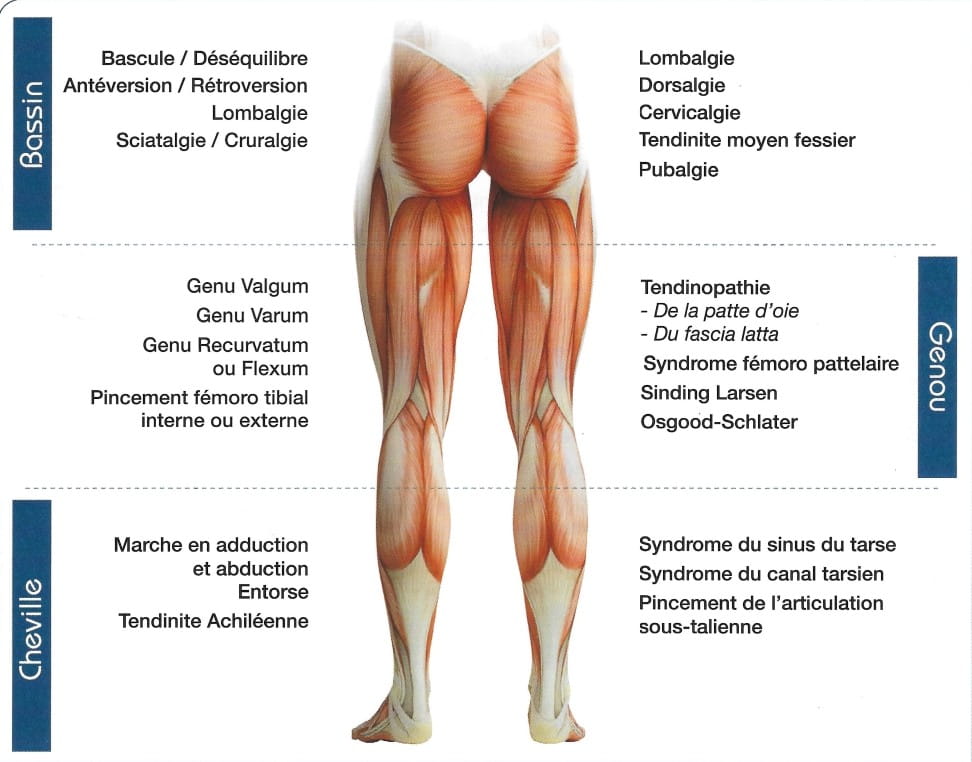 description pathologies orthopédiques du genou