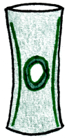 dessin genouillère rotulienne